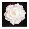 Kwiat waflowy dekoracja tort róża biały różowy